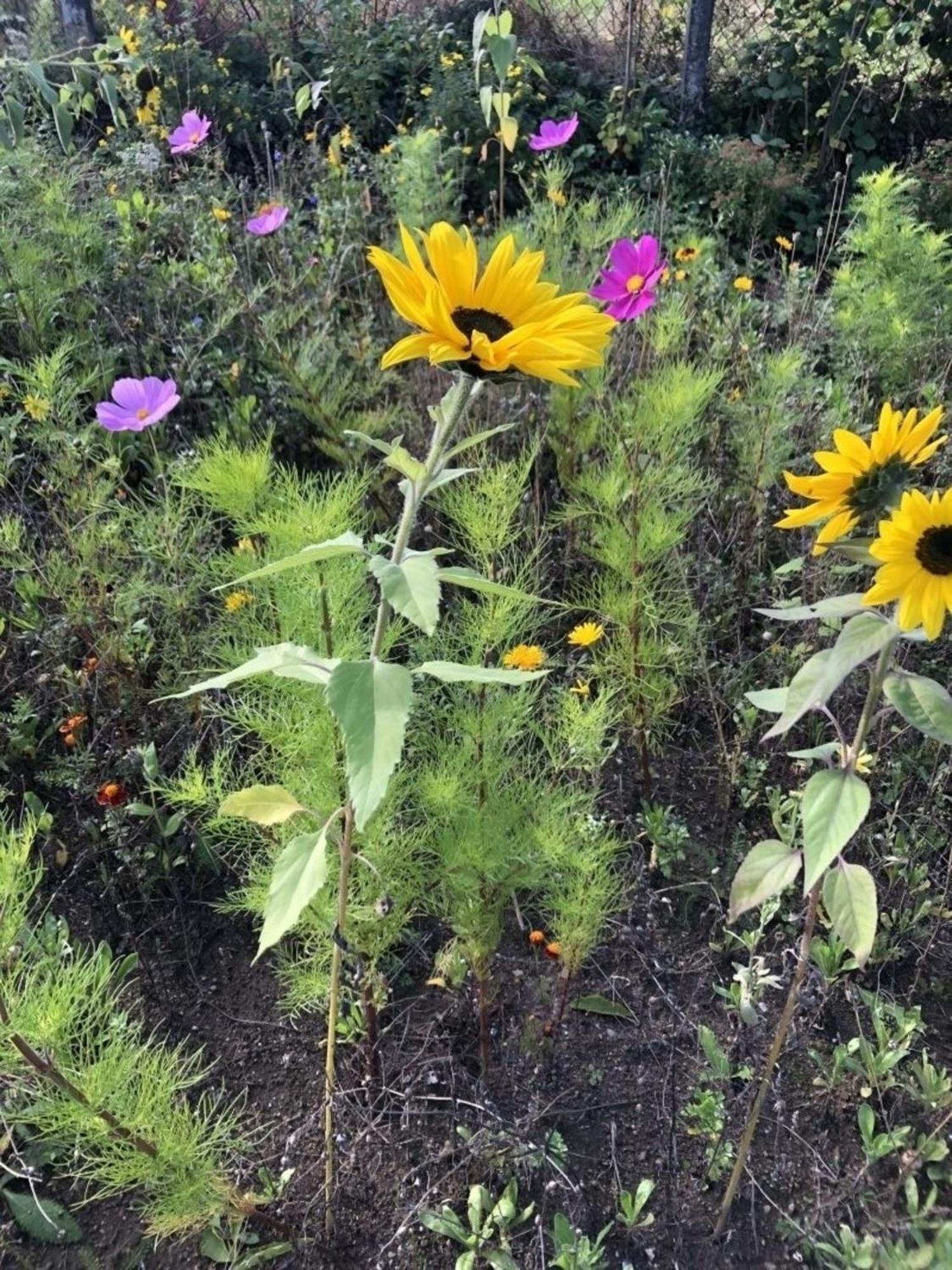 Meeresperle 2 Leuchtturm Klutz Dış mekan fotoğraf