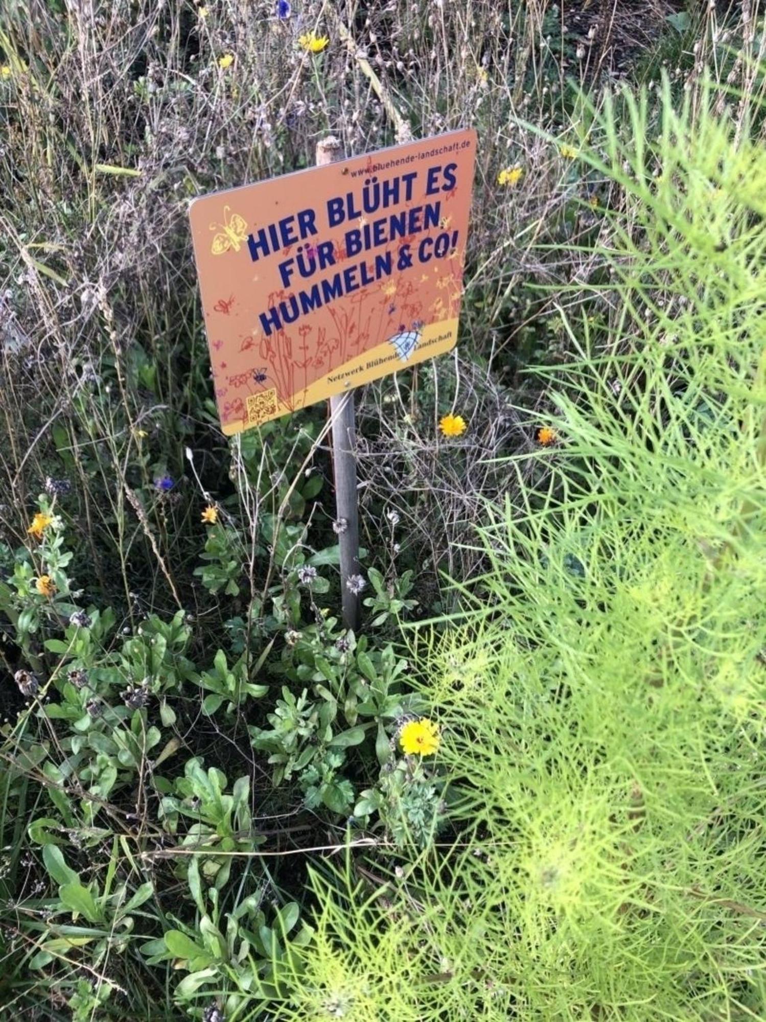 Meeresperle 2 Leuchtturm Klutz Dış mekan fotoğraf